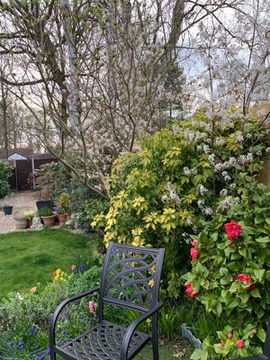 Photo 20- click for photo gallery